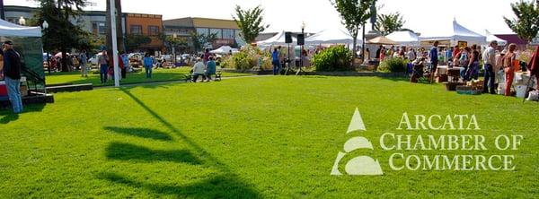 The Plaza, on G and H Street, is the heart of Arcata. Restaurants, shopping and benches to sit in and people watch.