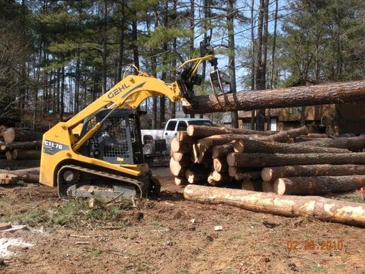 Wood goes to the mill to be used for lumber and paper