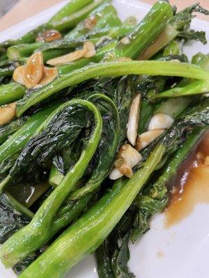 Chinese broccoli in oyster sauce