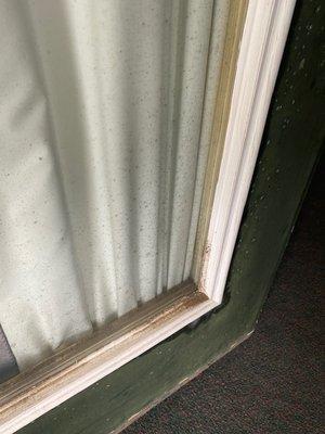 Mold on the door