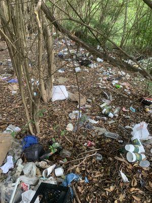 This is on Speedy Stop property. I didn't even have to walk into the woods.  Please be a good neighbor and clean up your mess, Speedy Stop!