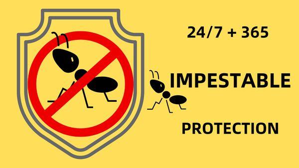 Impestable Pest Solutions