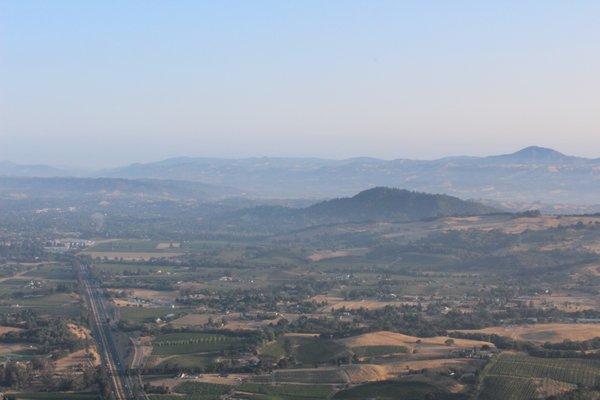 Wine Country Balloons