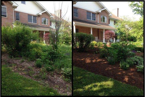 Before and after landscaping