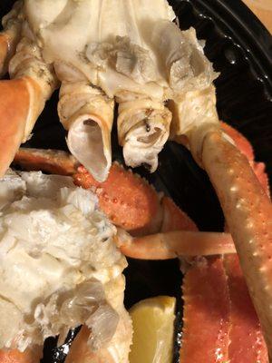 Wild-Caught Snow Crab Legs with missing legs...