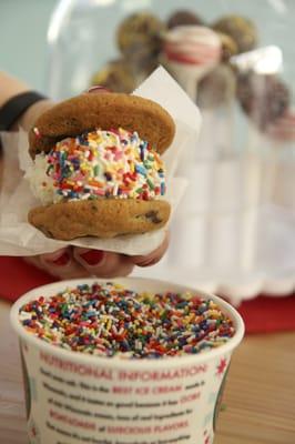 Ice Cream Cookie Sandwich