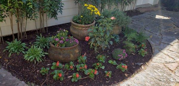 Mike Ball refreshed the flowers beds and the existing planters