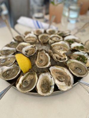 Oyster sampler!