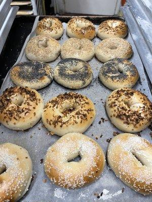 21 different bagels