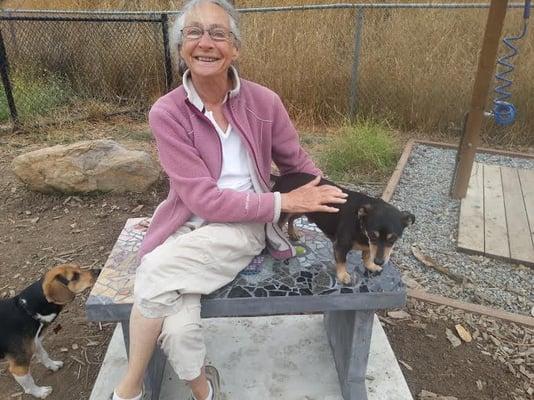 A little pampering on the beautiful mosaic bench created & donated by Kiki and Cooper