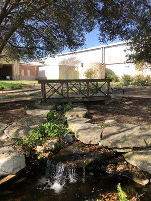 Lovely scene for wedding pics and butterfly watching.