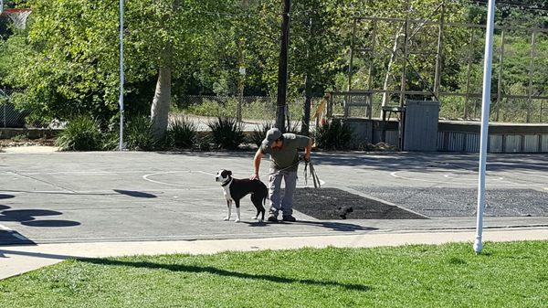 Sammy regrouping after getting trained on Rattlesnake Aversion Training class