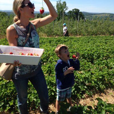 Fresh strawberries- a yummy, healthy, low sugar snack!!