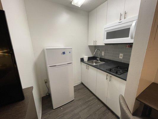 Kitchen with full-size fridge, microwave, stove, plenty of cabinet space