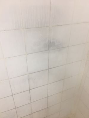 Mildew growing on the wall in steam room