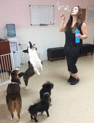 Bubble Time in Daycare