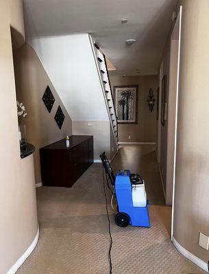 Carpet cleaning