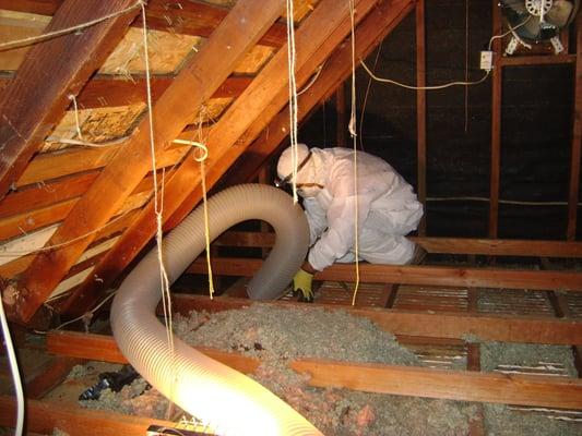 INSULATION REMOVAL