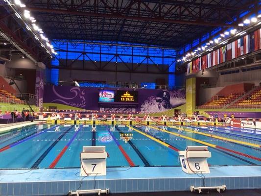 Working at the 2014 FINA World Cup of Swimming in Doha, Qatar