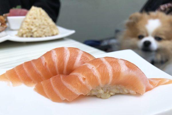 Sake Toro Nigiri, brown rice | 2 pc - $5.50