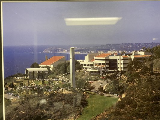 Caruso School of Law - Malibu California