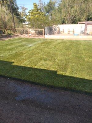 sod completion and sprinkler adjustments