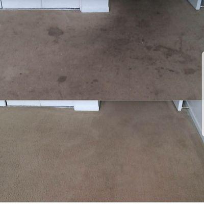 Optimistic Carpet Cleaning