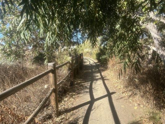 Trail with natural archway