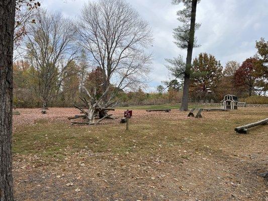 Children's play area- natural climbing structures, beams, barn, sandboxes, etc.