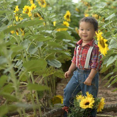 Sunflower field portraits