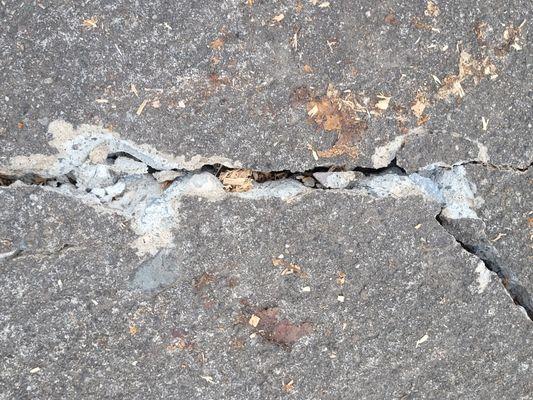 Spokane Tree Pro owner Ben Stanton's damage to my driveway. The "cracks not breaks" he was adamant about.