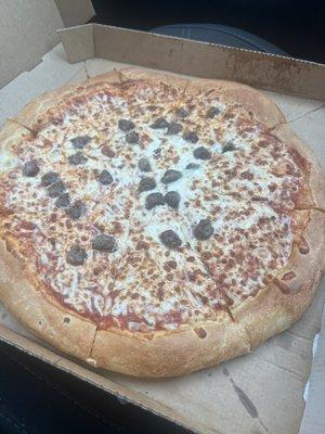 Seasoned beef pizza