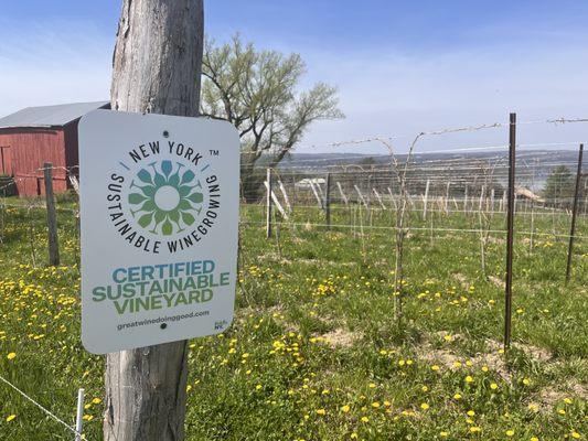 We're officially certified sustainable!