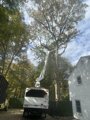 Tree Pruning