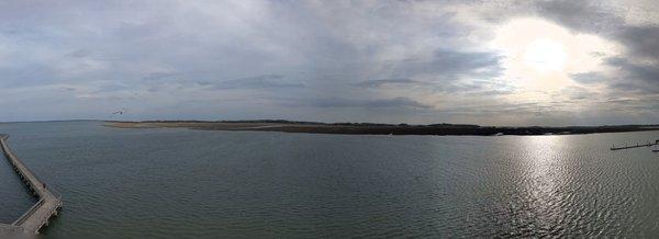 Henry Robinson Boardwalk & Observation Tower