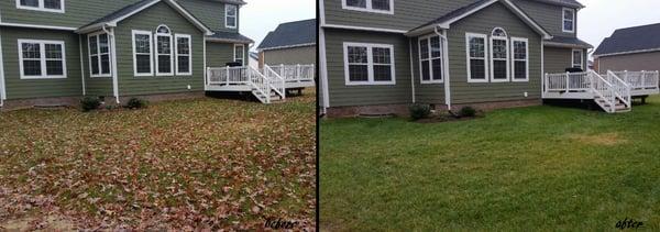 Before & After Leaf Service