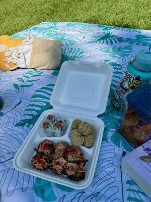 Sushi picnic date