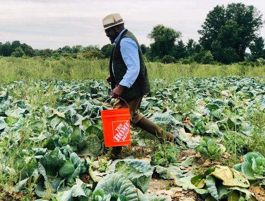 Moer Foundation announces Nubian Square Farmers  Market #nubiansquarefarmersmarket #visitnubiansquare #blackfarmers