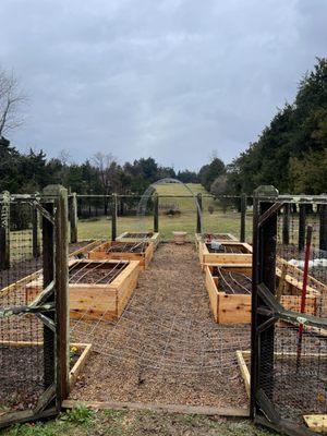 Garden boxes I built