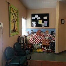 A welcoming kids area in our lobby to keep your 2 legged children occupied while we care for your 4 legged children.