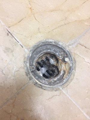 Shower drain