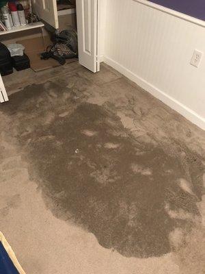 Busted water heater flooded this room