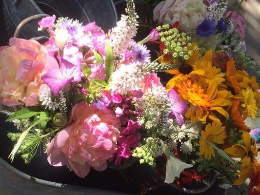 Flowers going from the Farmers Market to the Treatment Room