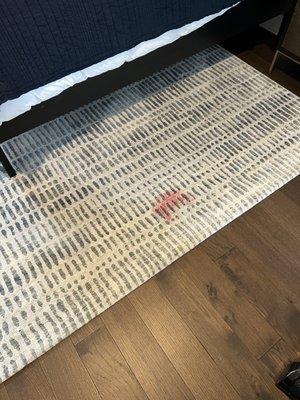 Area rug with stain after maid visit.