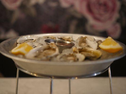 Kusshi Oysters