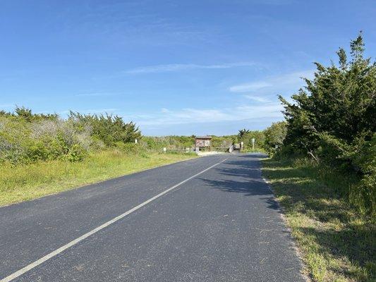 Cape May National Wildlife Refuge