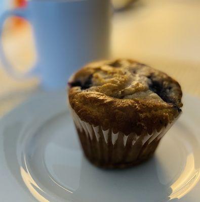 Blueberry Buttermilk Muffin