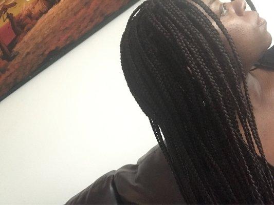 Box braids using xpression extension