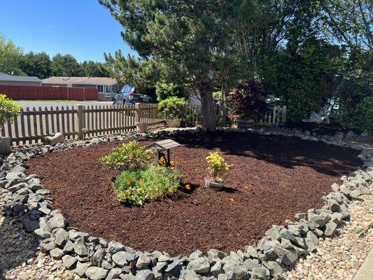 Patchy lawn killed, cloth laid, medium fir bark with 6 inch open rock border