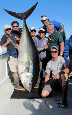 World Record Yellowfin Tuna 405.2-lbs caught aboard the Vagabond